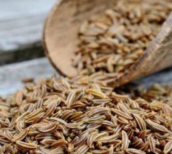 Shahi Jeera Black Cumin
